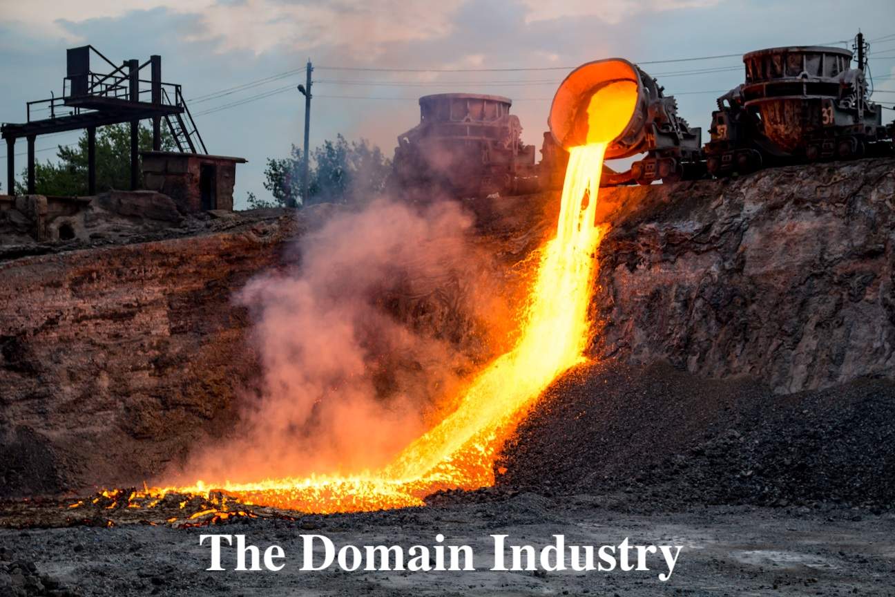 The Domain Industry